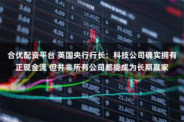 合优配资平台 英国央行行长：科技公司确实拥有正现金流 但并非所有公司都能成为长期赢家