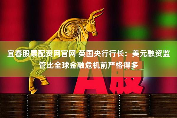 宜春股票配资网官网 英国央行行长：美元融资监管比全球金融危机前严格得多