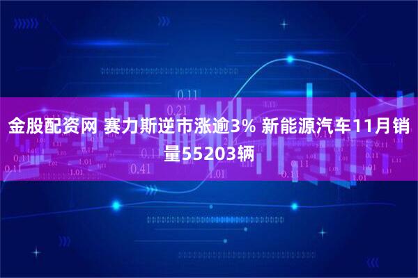 金股配资网 赛力斯逆市涨逾3% 新能源汽车11月销量55203辆